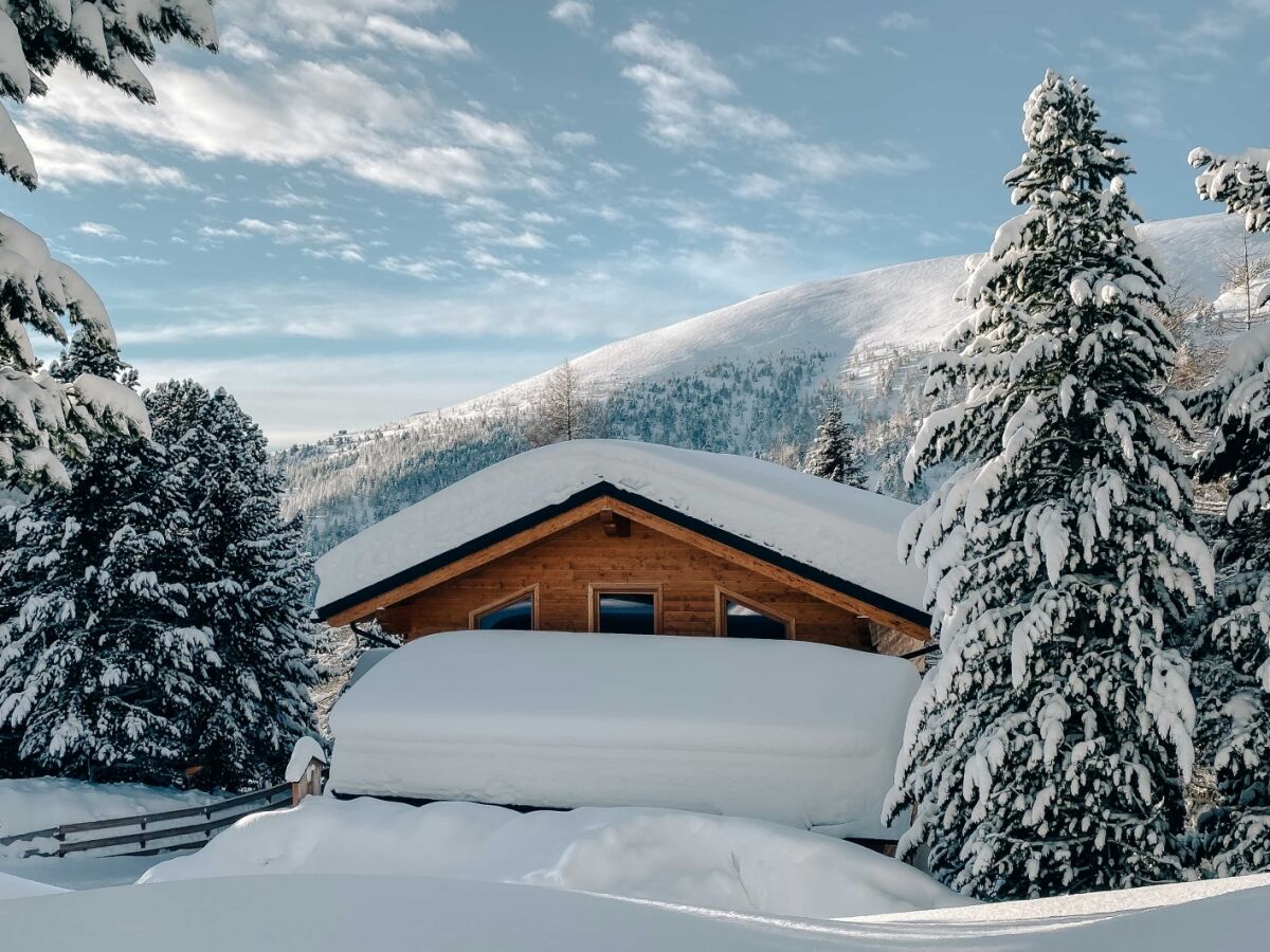 Chalet Chalet Almsommer (Heidi Chalets Falkertsee) - Outdoor photo 3