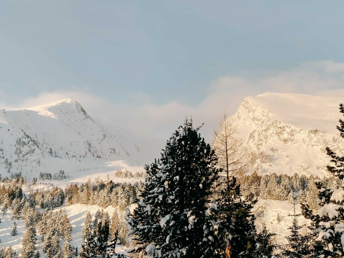 Chalet Chalet Almsommer (Heidi Chalets Falkertsee) - Outdoor photo 5