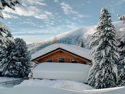 Chalet Chalet Almsommer (Heidi Chalets Falkertsee) - Outdoor photo 3