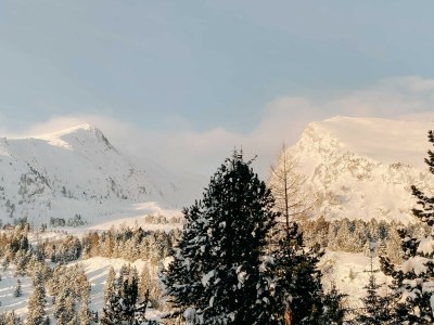 Chalet Chalet Almsommer (Heidi Chalets Falkertsee) - Outdoor photo 5