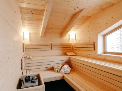 Chalet Chalet Almsommer (Heidi Chalets Falkertsee) - Features photo 16
