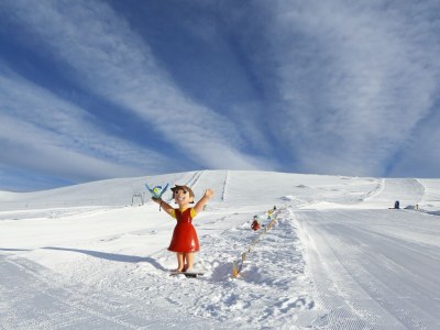 Chalet Chalet Almsommer (Heidi Chalets Falkertsee) - Environment photo 35
