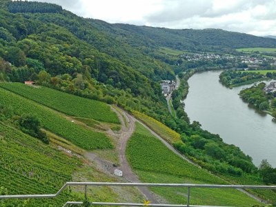 Holiday house Steinbach See Lodges (House B) - Environment photo 24