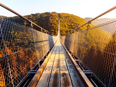 Holiday house Steinbach See Lodges (House B) - Environment photo 28