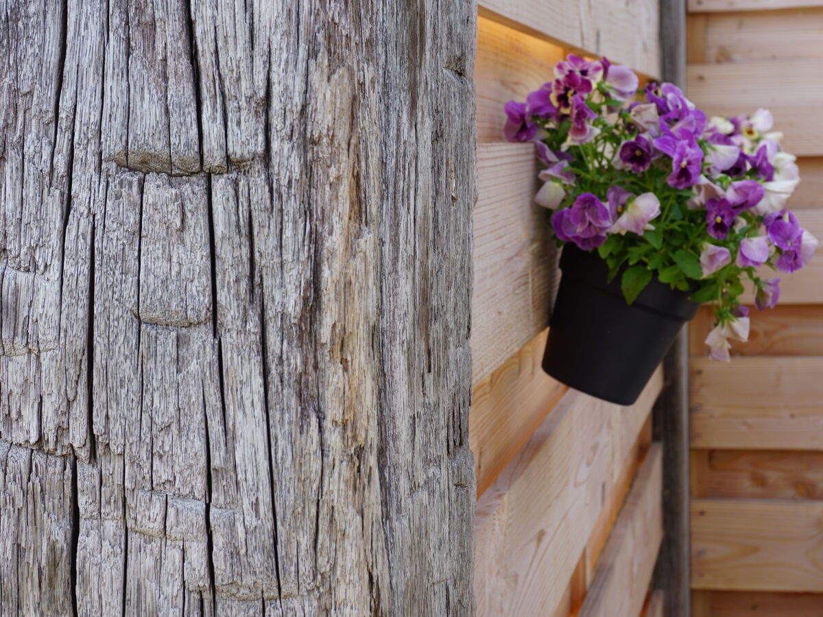 Holiday house Zeeweg 31z - Outdoor photo 4