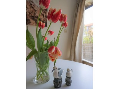 Holiday house Zeeweg 31z - Features photo 14