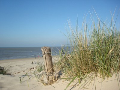 Holiday house Zeeweg 31z - Environment photo 23