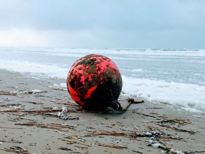 Holiday house Zeeweg 31z - Environment photo 27