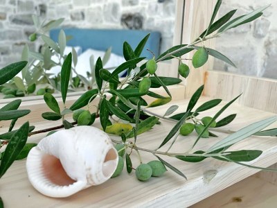 Holiday house Villa Chalikia - Features photo 33