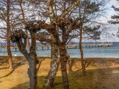 Holiday apartment Sea melody - in Villa Frigga - Outdoor photo 5