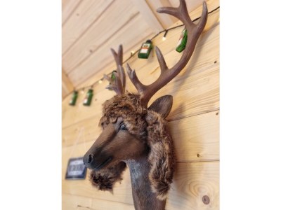 Holiday house Landhaus Osborne - Obertraun - Lake Hallstatt - Outdoor photo 7