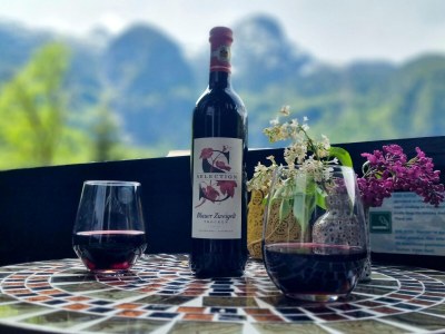 Holiday house Landhaus Osborne - Obertraun - Lake Hallstatt - Features photo 22