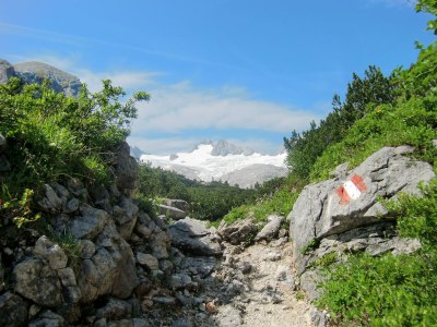 Holiday house Landhaus Osborne - Obertraun - Lake Hallstatt - Environment photo 36