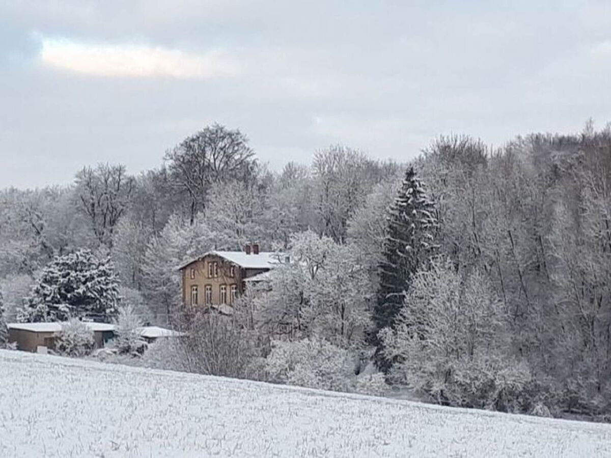 Apartment Alt Krassow Lakeside Retreat - Outdoor photo 4