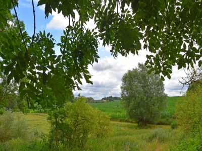 Apartment Alt Krassow Lakeside Retreat - Environment photo 33