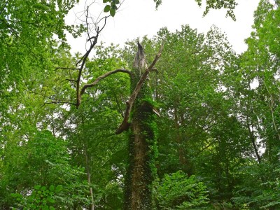 Apartment Alt Krassow Lakeside Retreat - Environment photo 35