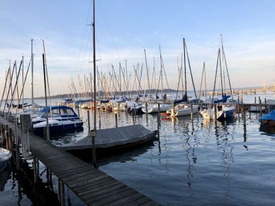 Holiday apartment Bergzeit im Landhaus am Dosbach - Environment photo 30