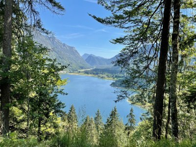 Holiday apartment Bergzeit im Landhaus am Dosbach - Environment photo 34