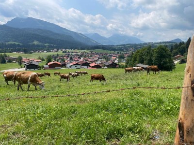 Holiday apartment Bergzeit im Landhaus am Dosbach - Environment photo 35