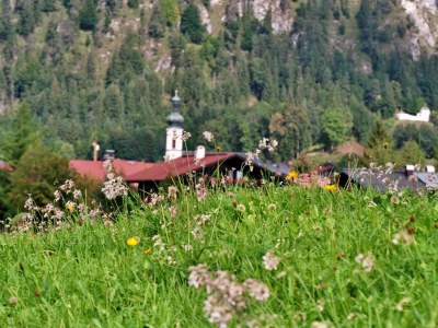 Holiday apartment Bergzeit im Landhaus am Dosbach - Environment photo 36