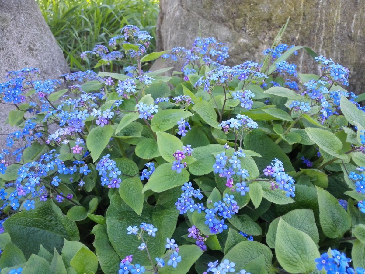 Holiday apartment Niedermoar "Etschwool" - Outdoor photo 5