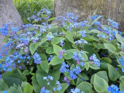 Holiday apartment Niedermoar "Etschwool" - Outdoor photo 5