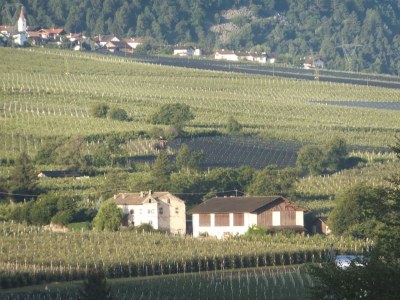 Holiday apartment Niedermoar "Etschwool" - Outdoor photo 8