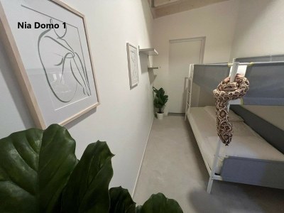 Holiday house Nia Domo - Features photo 17