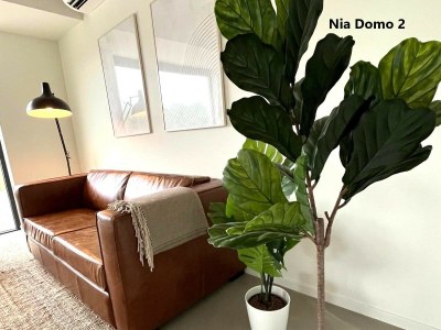 Holiday house Nia Domo - Features photo 21