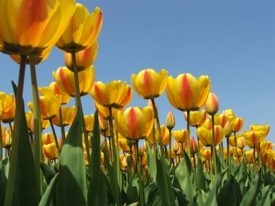 Holiday apartment Koegras - Outdoor photo 4