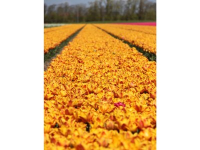 Holiday apartment Koegras - Environment photo 16