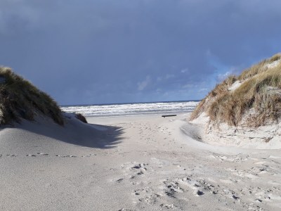 Holiday house Gruppenbungalow Family & Friends P-8-12 - Environment photo 18