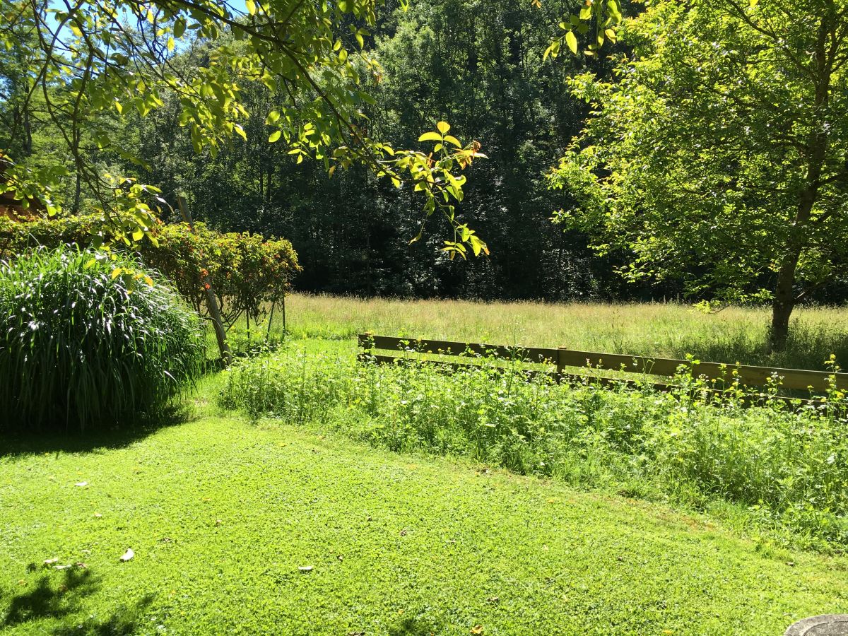 Holiday apartment Erholung in Naturschutzgebiet - Outdoor photo 3