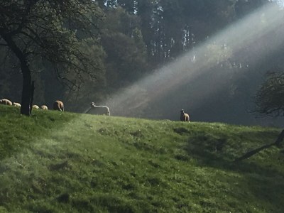 Holiday apartment Erholung in Naturschutzgebiet - Outdoor photo 7