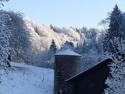 Holiday apartment Erholung in Naturschutzgebiet - Outdoor photo 9