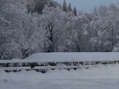 Holiday apartment Erholung in Naturschutzgebiet - Outdoor photo 10