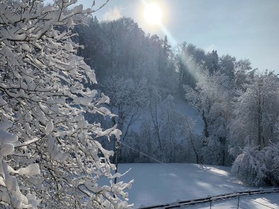 Holiday apartment Erholung in Naturschutzgebiet - Outdoor photo 11