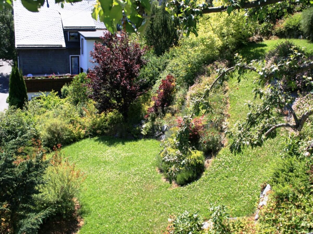 Apartment Ferienwohnung bei Willingen mit Terrasse - Outdoor photo 3