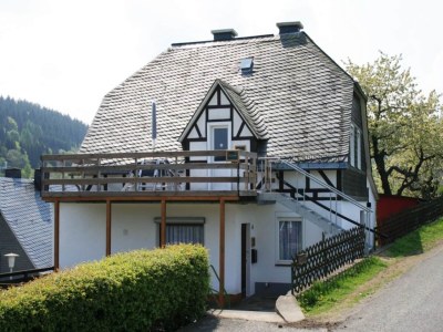 Apartment Ferienwohnung bei Willingen mit Terrasse - Outdoor photo 8