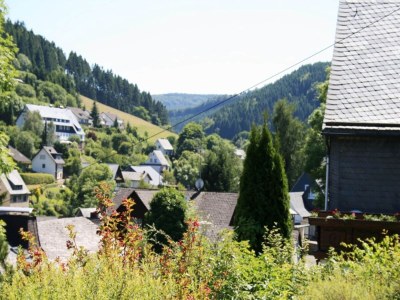 Apartment Ferienwohnung bei Willingen mit Terrasse - Outdoor photo 13