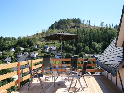 Apartment Ferienwohnung bei Willingen mit Terrasse - Outdoor photo 18