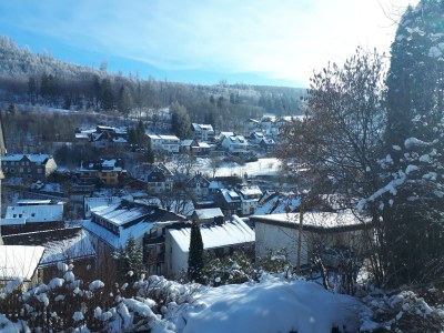 Apartment Ferienwohnung bei Willingen mit Terrasse - Features photo 23