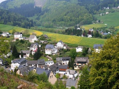 Apartment Ferienwohnung bei Willingen mit Terrasse - Environment photo 37