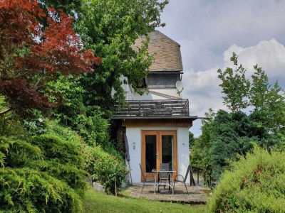 Holiday house Ferienhaus in Willingen mit eigenem Garten - Outdoor photo 6