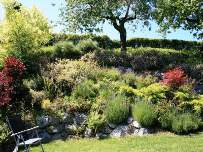 Holiday house Ferienhaus in Willingen mit eigenem Garten - Outdoor photo 12