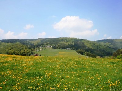 Holiday house Ferienhaus in Willingen mit eigenem Garten - Environment photo 22