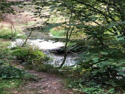 Holiday house Ferienhaus in Willingen mit eigenem Garten - Environment photo 23