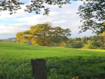 Holiday house Ferienhaus in Willingen mit eigenem Garten - Environment photo 25