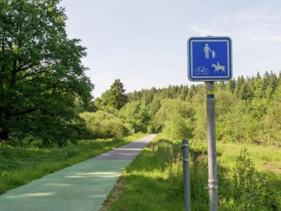 Holiday house Ferienhaus in Willingen mit eigenem Garten - Environment photo 27