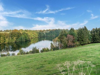 Holiday house Ferienhaus in Willingen mit eigenem Garten - Environment photo 29